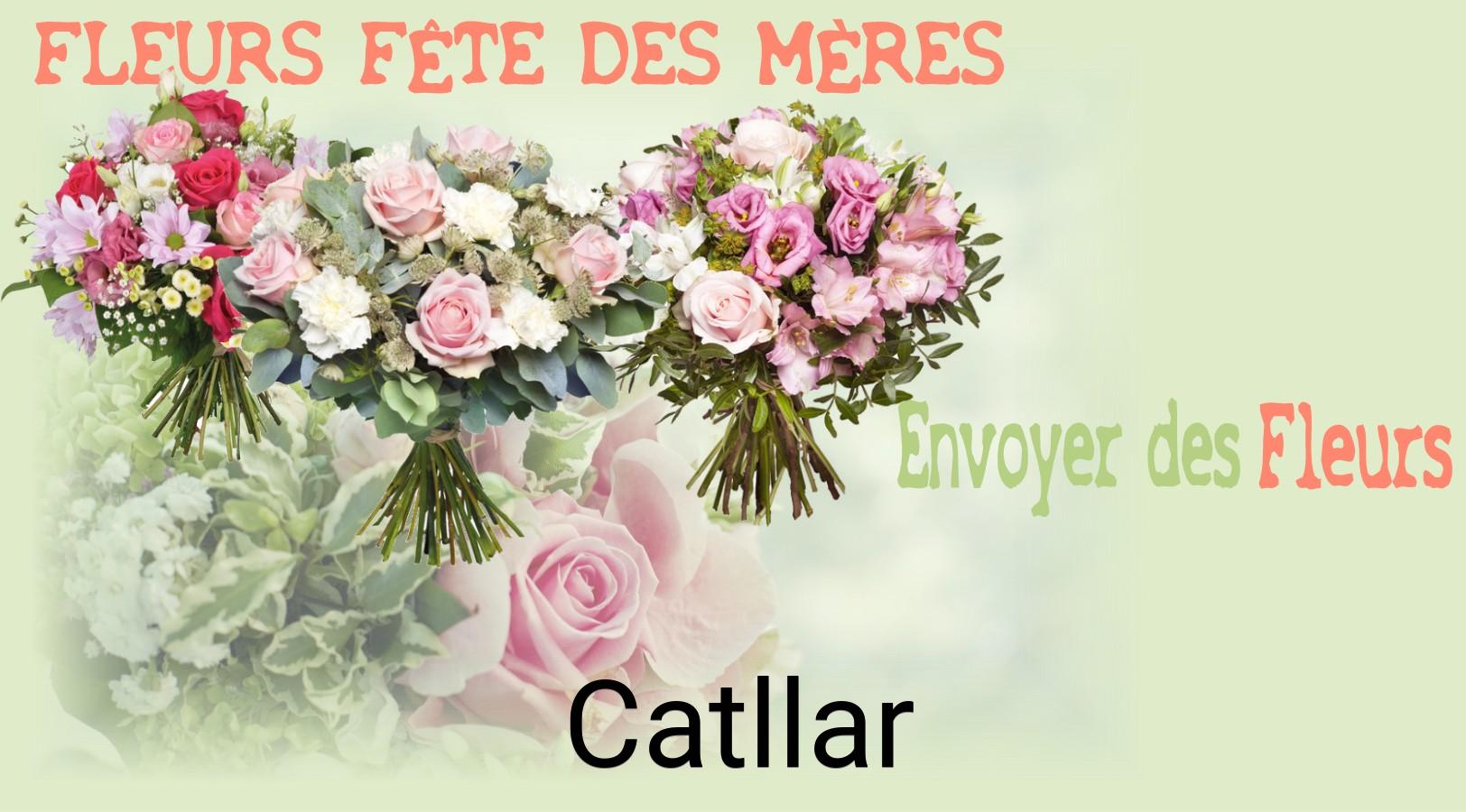 Bouquet de Fête des Mères livré à Catllar
